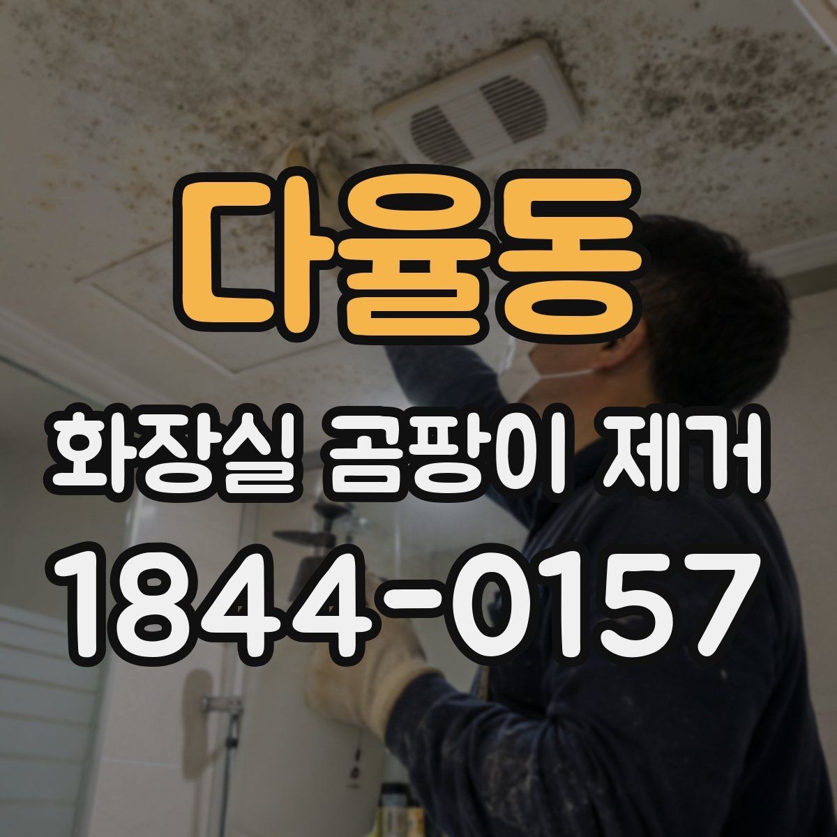 다율동 화장실 곰팡이 제거 전에 실리콘 교체 신호를 살피는 기준