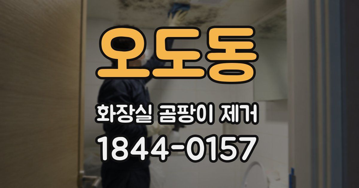 오도동 화장실 곰팡이 제거