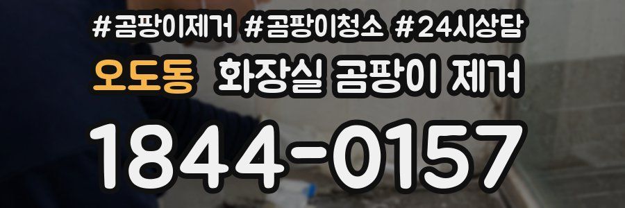 오도동 화장실 곰팡이 제거