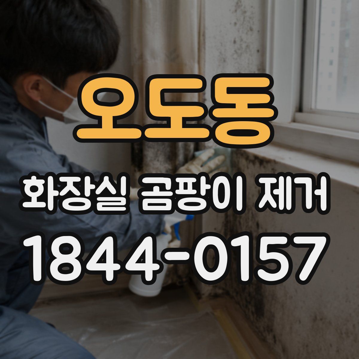 오도동 화장실 곰팡이 제거
