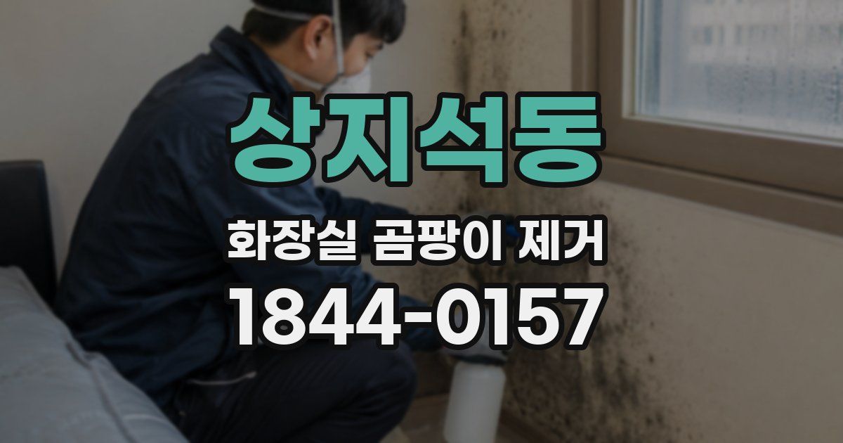 상지석동 화장실 곰팡이 제거
