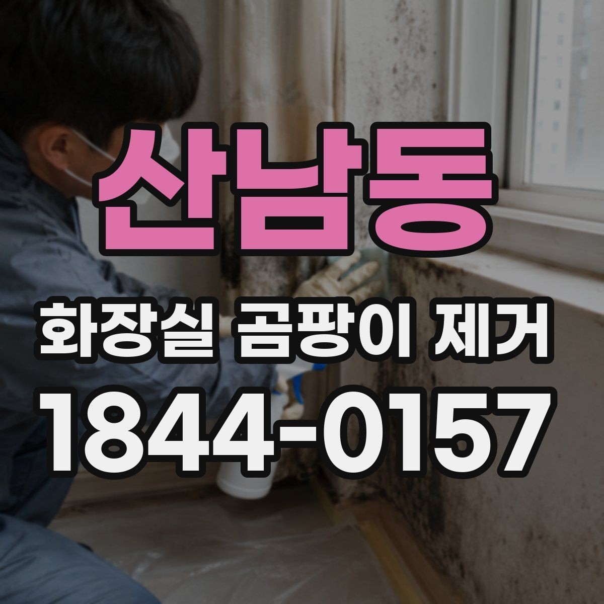 산남동 화장실 곰팡이 제거 중 반려동물 노출을 줄이는 실내 관리법