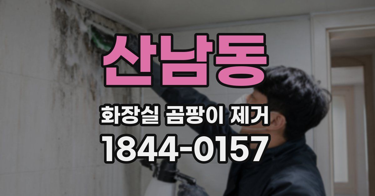 산남동 화장실 곰팡이 제거