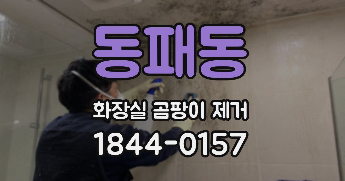 동패동 화장실 곰팡이 제거