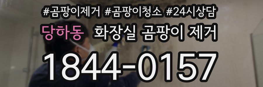 당하동 화장실 곰팡이 제거