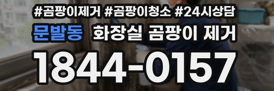 문발동 화장실 곰팡이 제거