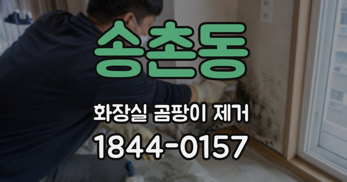 송촌동 화장실 곰팡이 제거