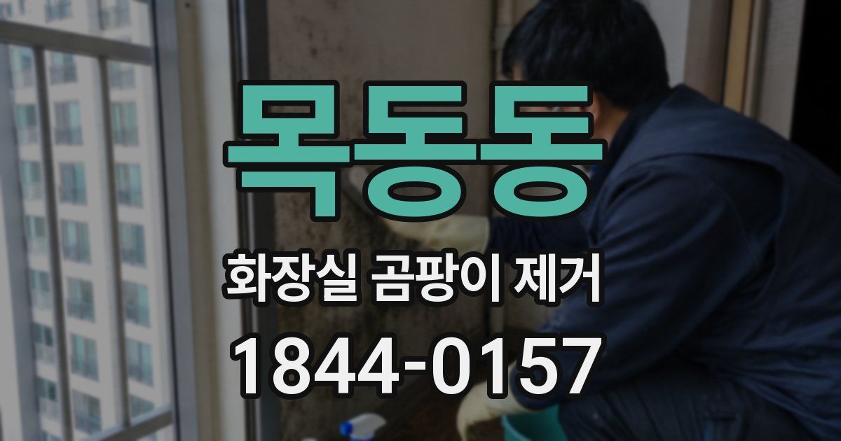 목동동 화장실 곰팡이 제거