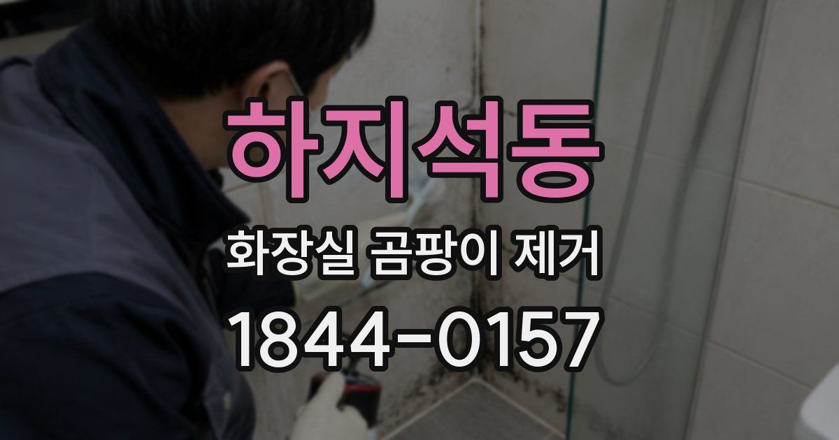 하지석동 화장실 곰팡이 제거