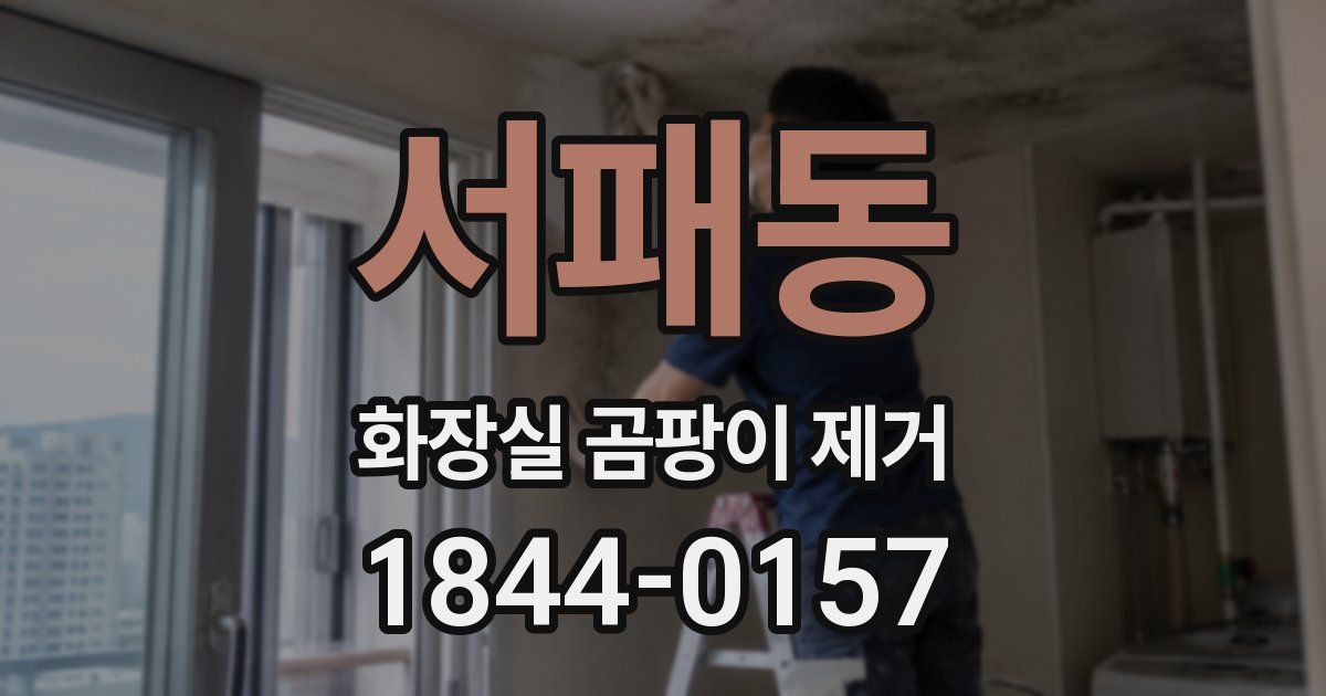서패동 화장실 곰팡이 제거