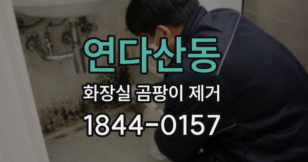 연다산동 화장실 곰팡이 제거