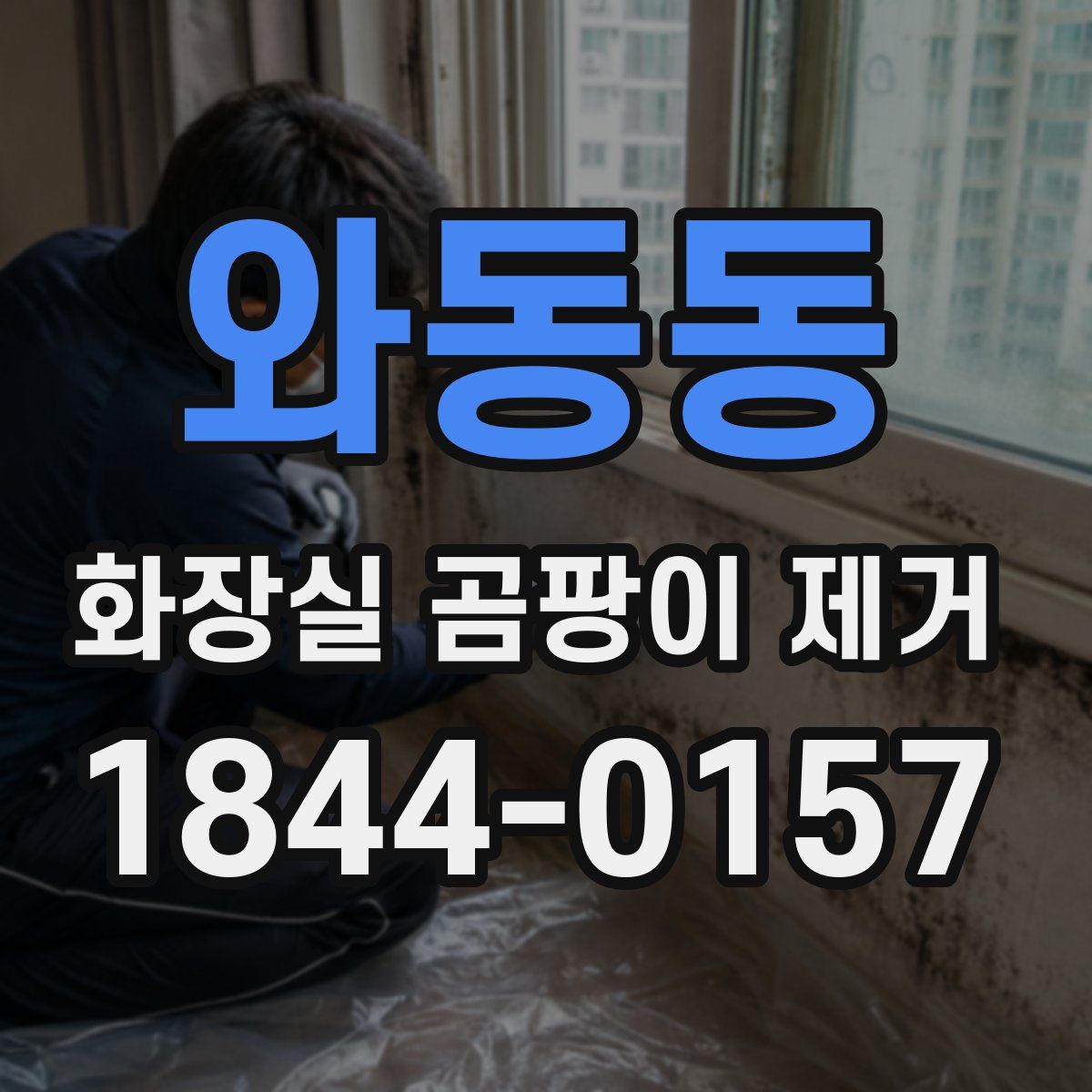 와동동 화장실 곰팡이 제거