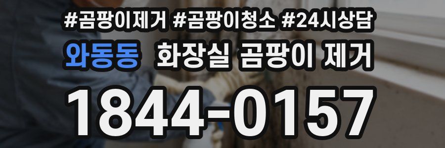와동동 화장실 곰팡이 제거
