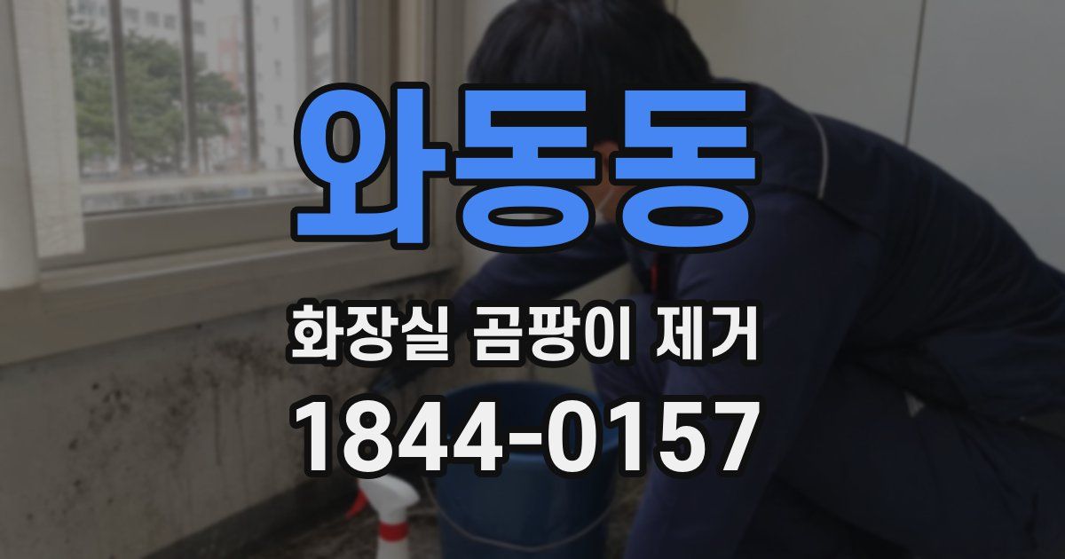 와동동 화장실 곰팡이 제거
