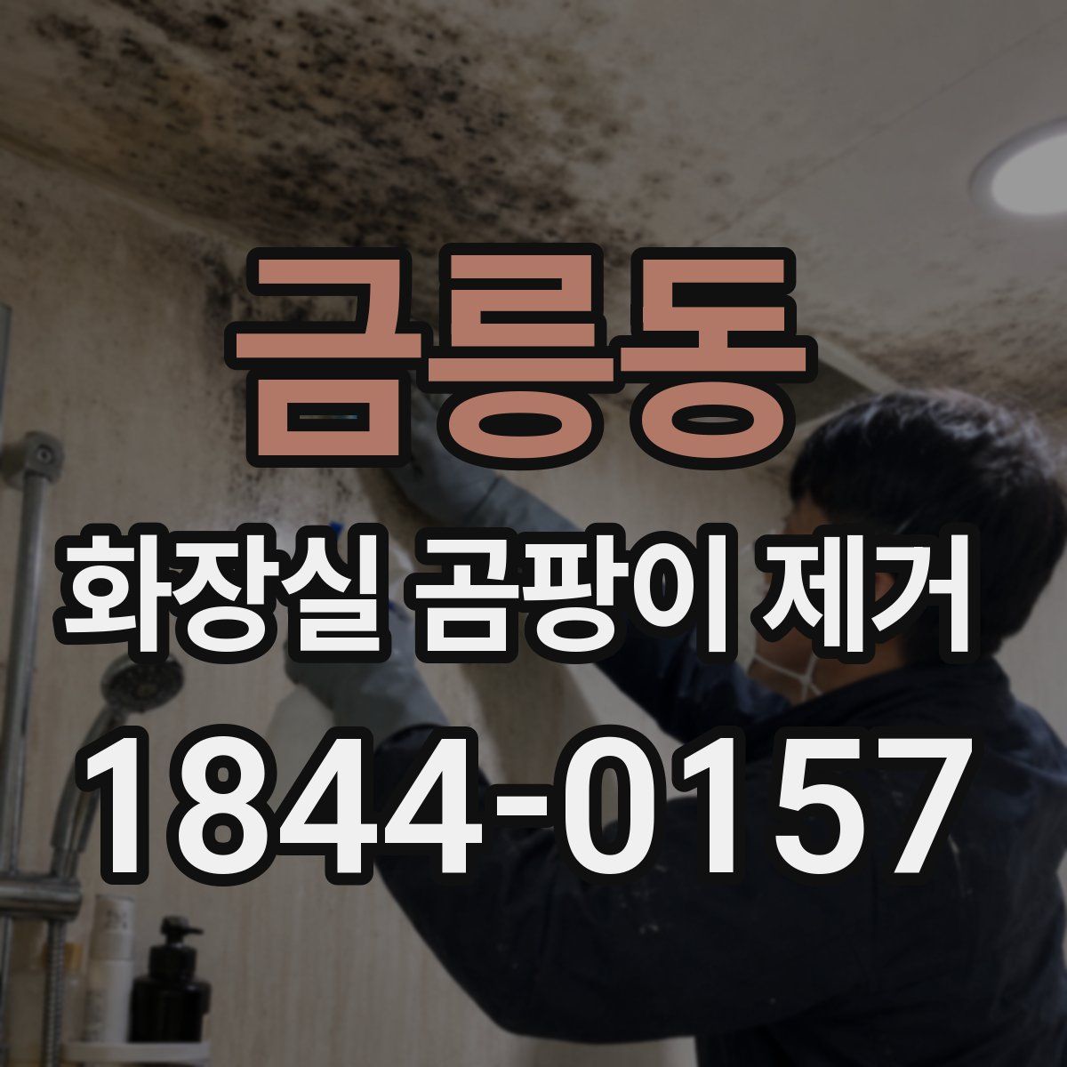 금릉동 화장실 곰팡이 제거