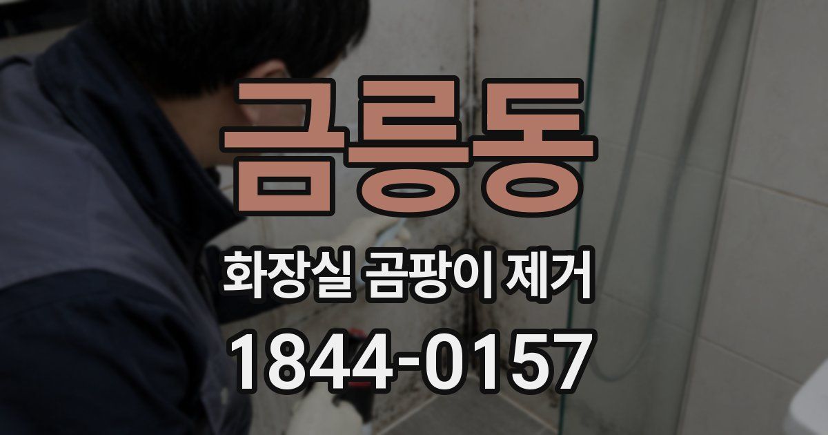 금릉동 화장실 곰팡이 제거
