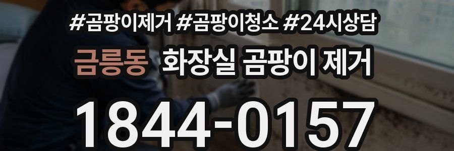 금릉동 화장실 곰팡이 제거