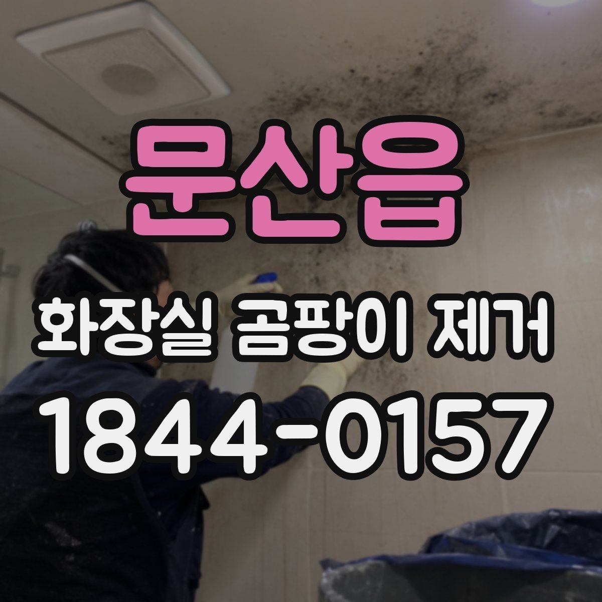 문산읍 화장실 곰팡이 제거 베란다 없는 집의 습기 관리까지
