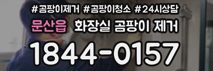 문산읍 화장실 곰팡이 제거