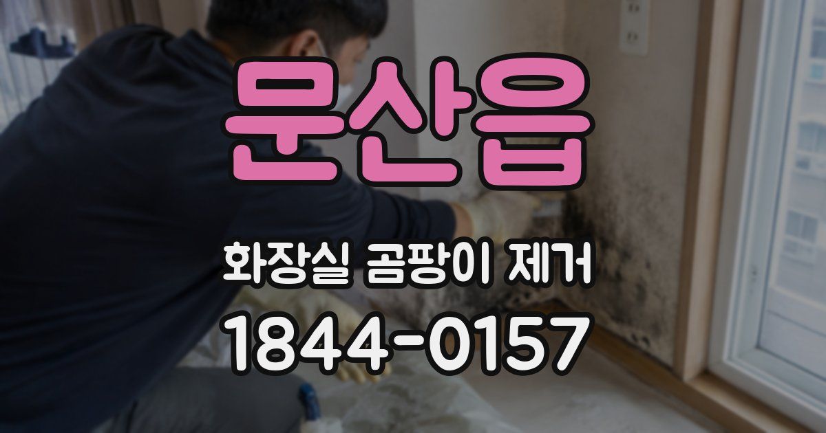 문산읍 화장실 곰팡이 제거