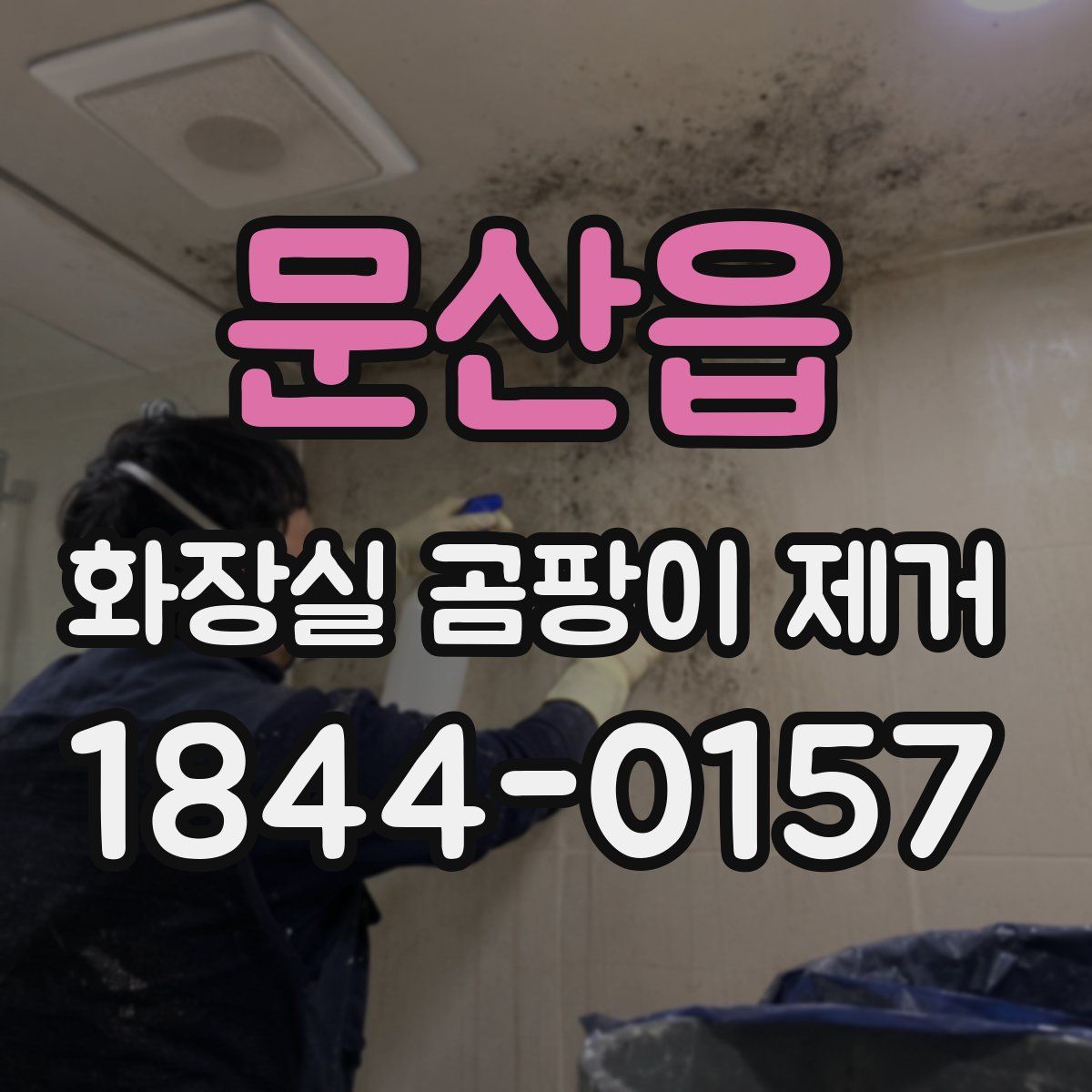 문산읍 화장실 곰팡이 제거