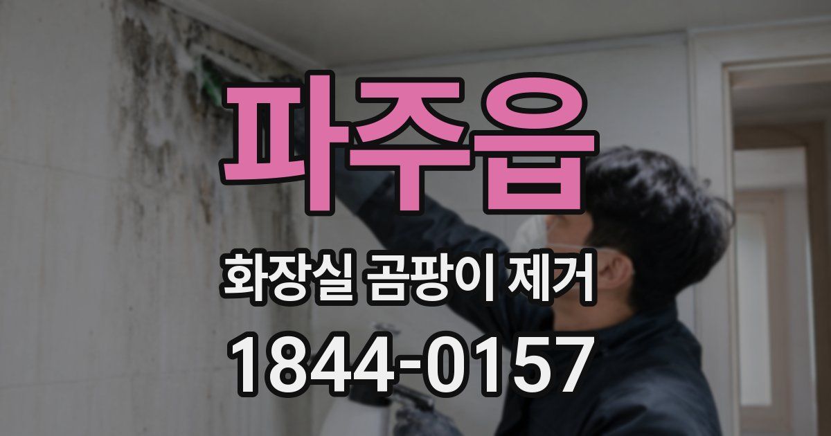 파주읍 화장실 곰팡이 제거