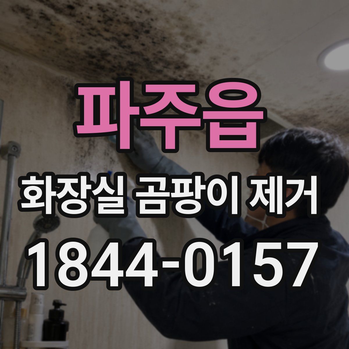 파주읍 화장실 곰팡이 제거