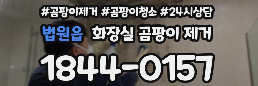 법원읍 화장실 곰팡이 제거