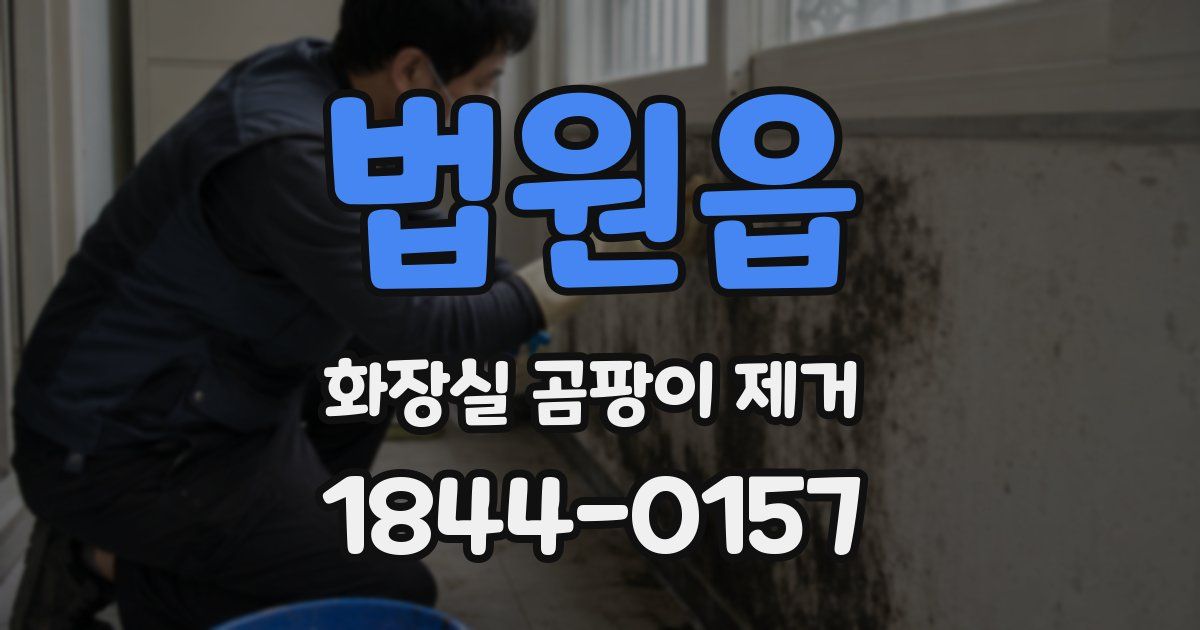 법원읍 화장실 곰팡이 제거