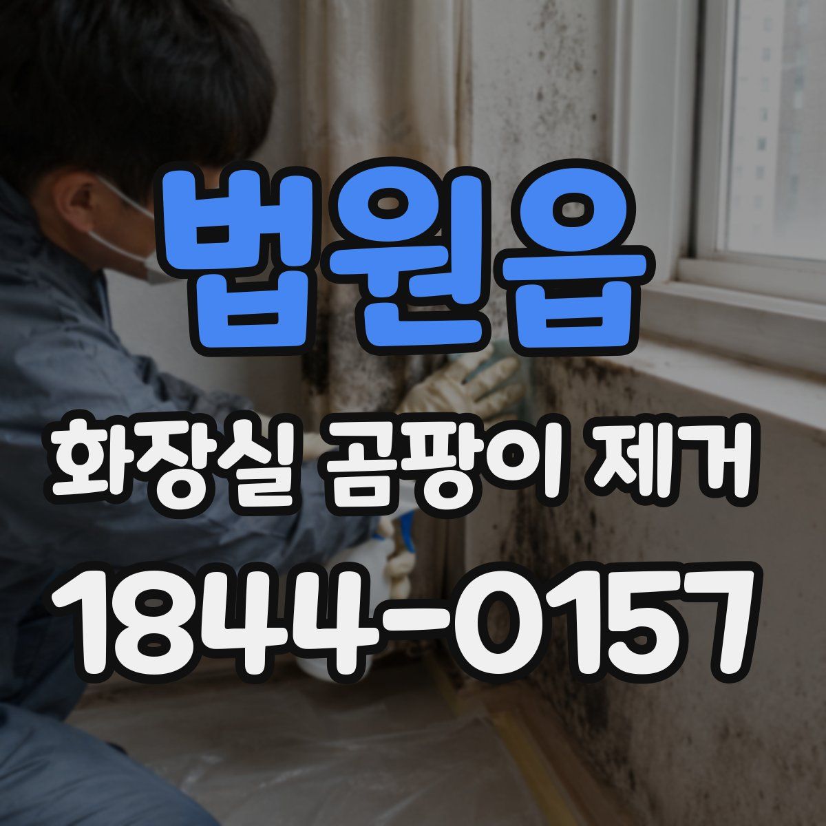 법원읍 화장실 곰팡이 제거