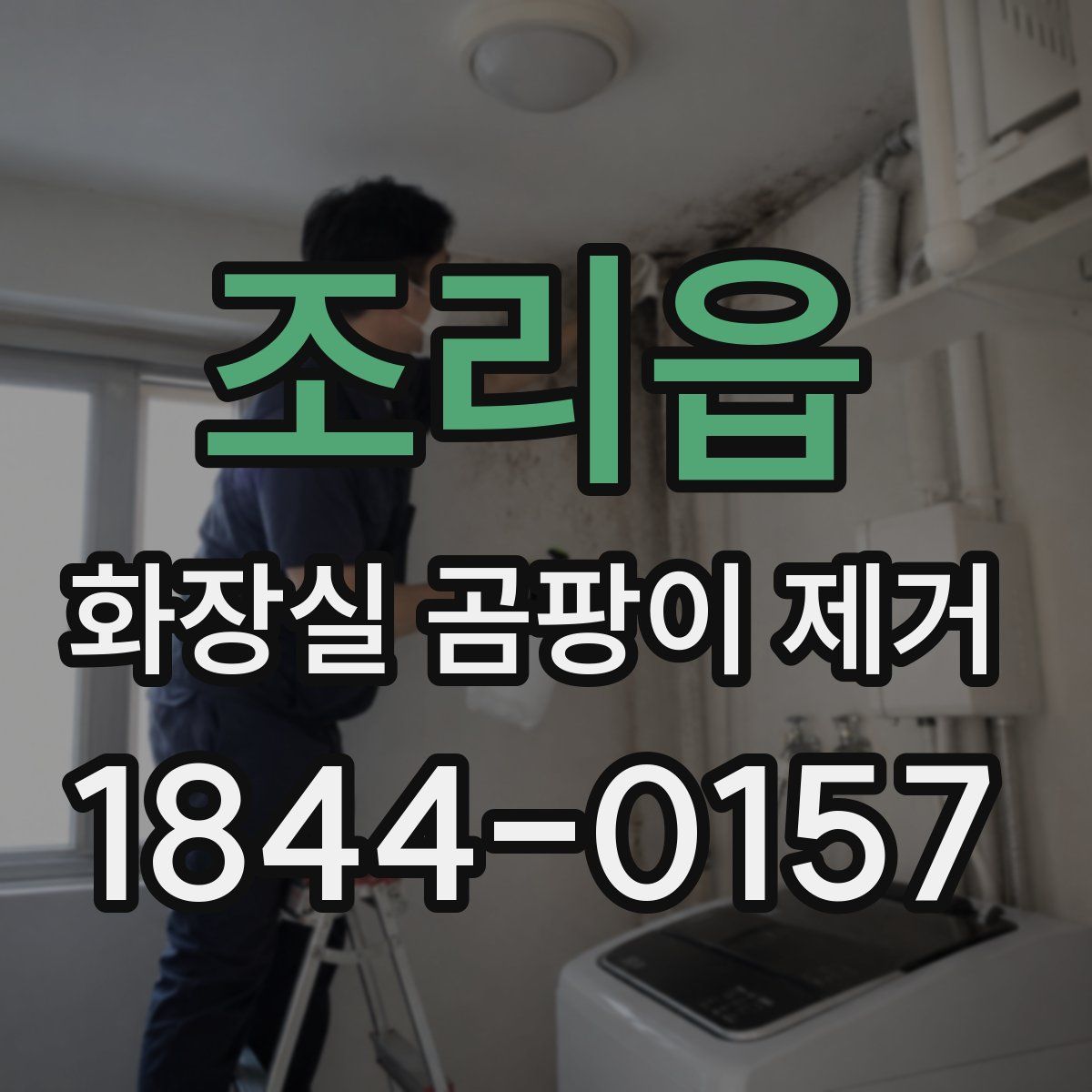조리읍 화장실 곰팡이 제거