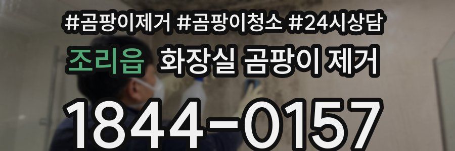조리읍 화장실 곰팡이 제거