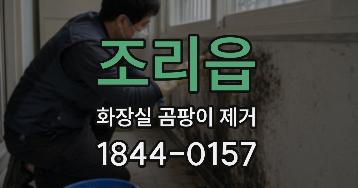 조리읍 화장실 곰팡이 제거