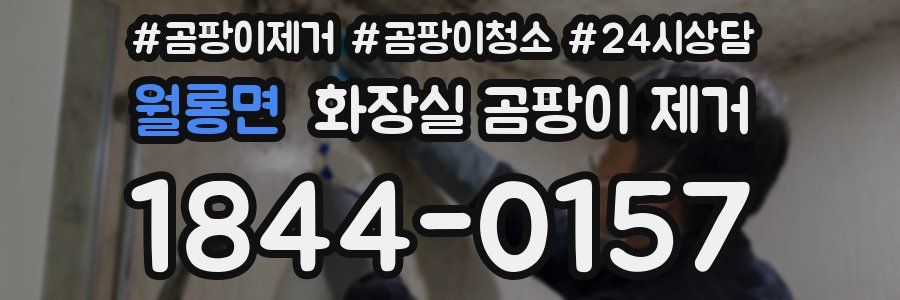 월롱면 화장실 곰팡이 제거