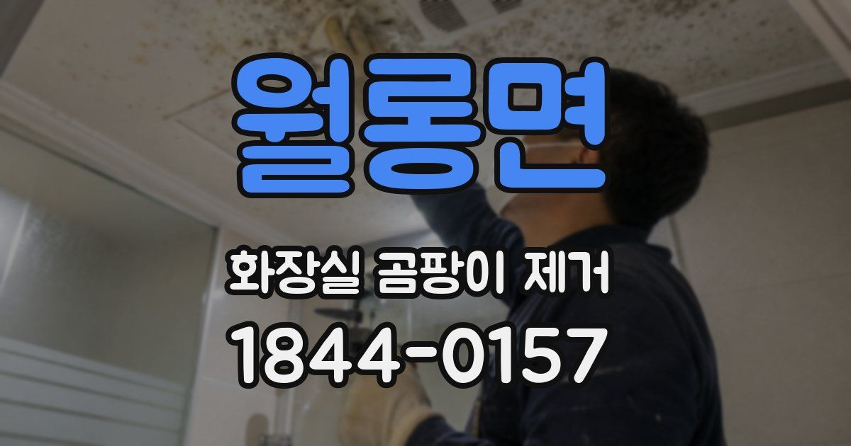 월롱면 화장실 곰팡이 제거