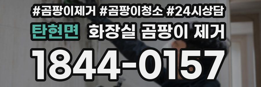 탄현면 화장실 곰팡이 제거