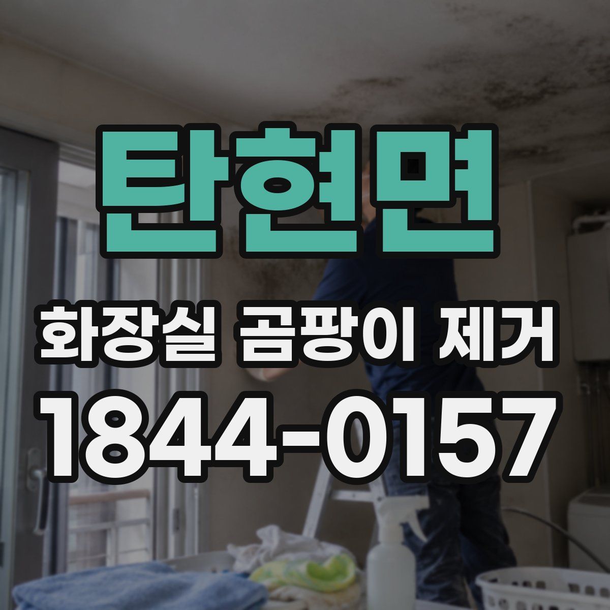 탄현면 화장실 곰팡이 제거