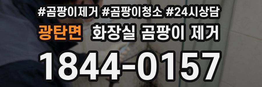 광탄면 화장실 곰팡이 제거