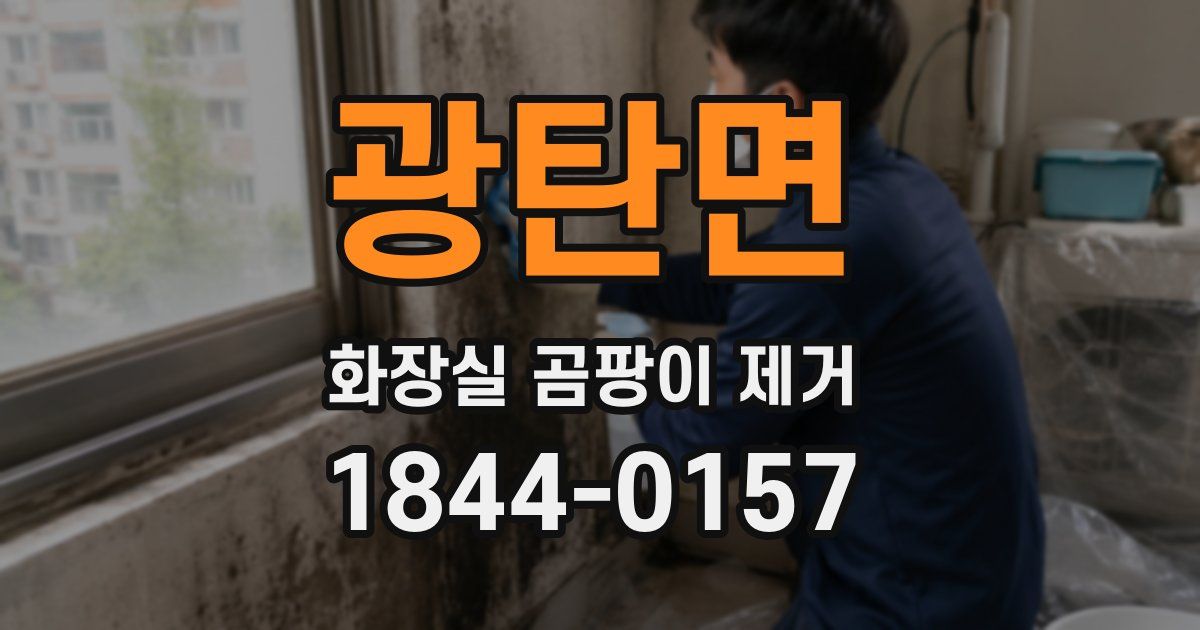 광탄면 화장실 곰팡이 제거