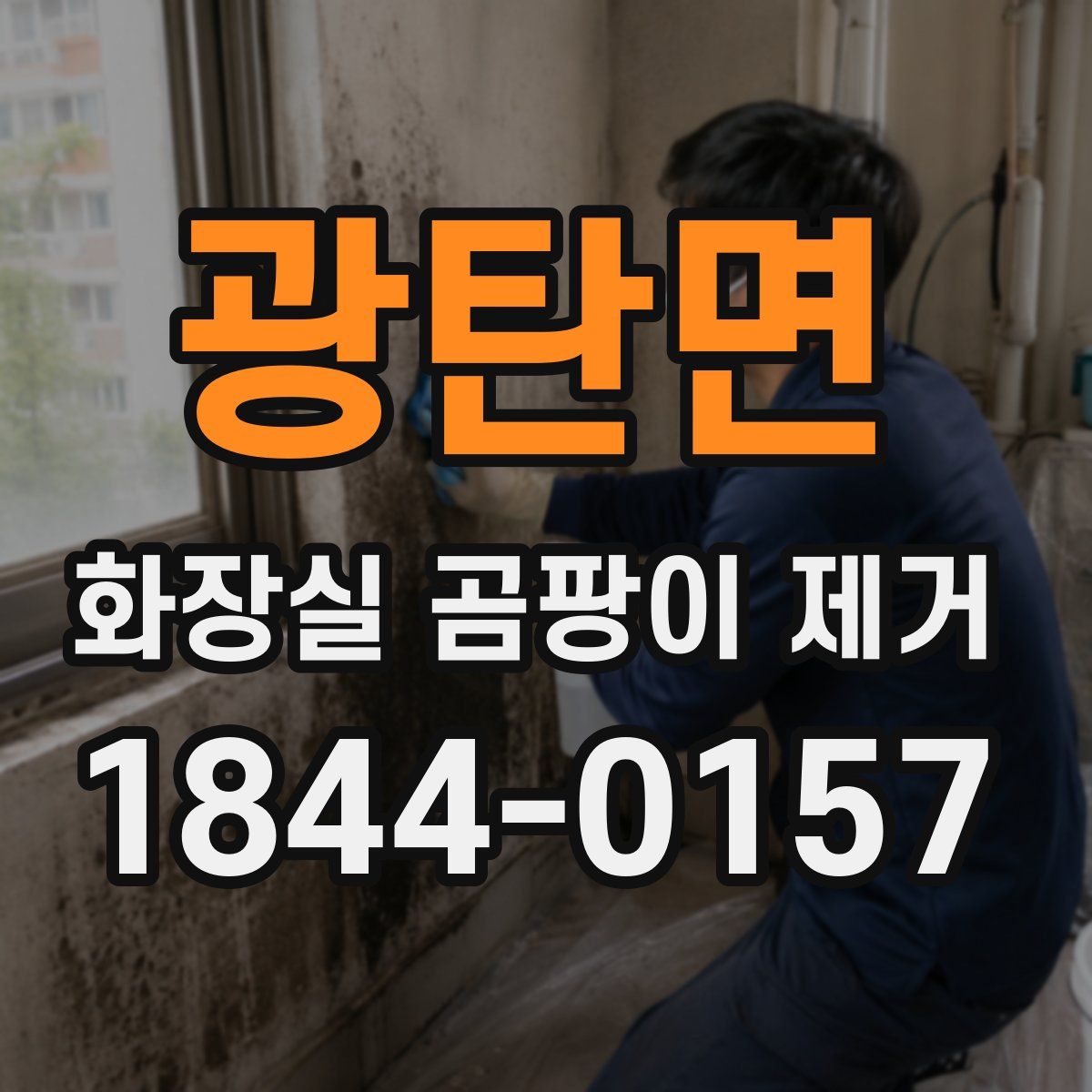 광탄면 화장실 곰팡이 제거