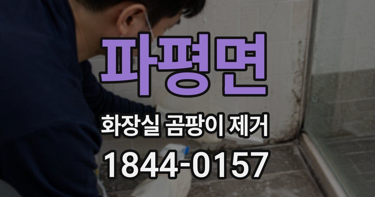파평면 화장실 곰팡이 제거