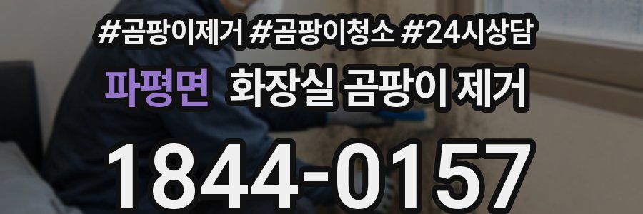파평면 화장실 곰팡이 제거