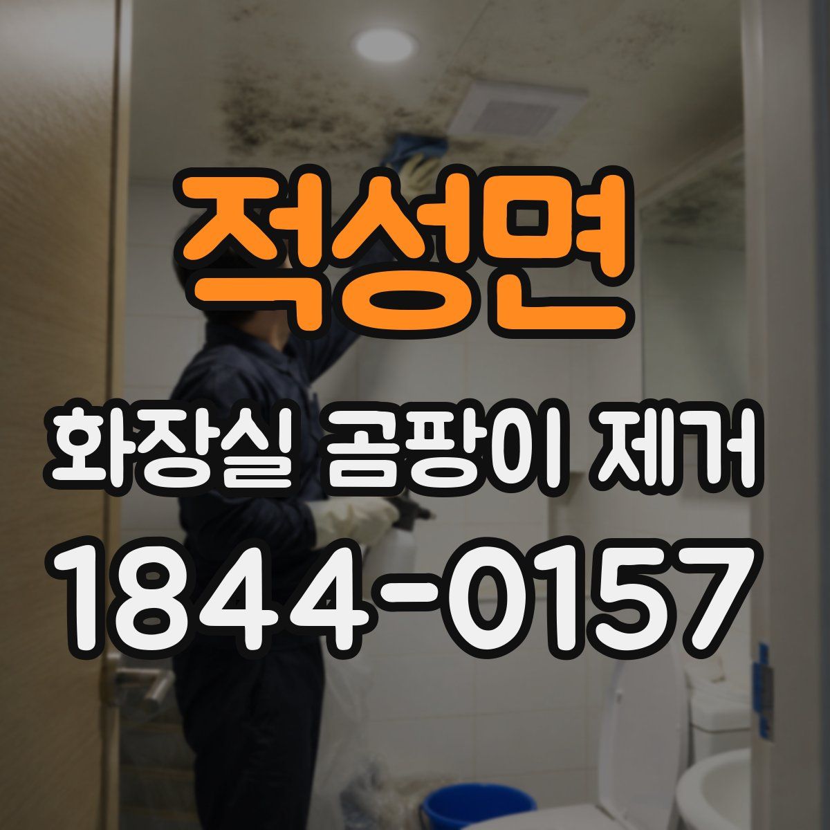 적성면 화장실 곰팡이 제거