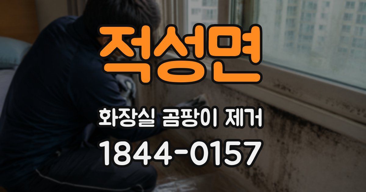 적성면 화장실 곰팡이 제거
