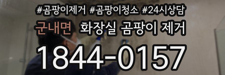 군내면 화장실 곰팡이 제거