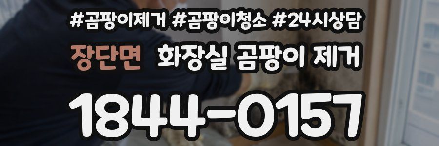 장단면 화장실 곰팡이 제거
