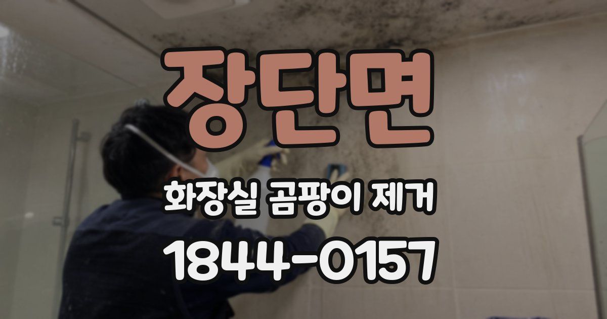 장단면 화장실 곰팡이 제거
