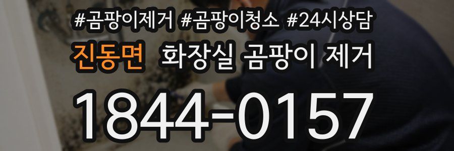 진동면 화장실 곰팡이 제거