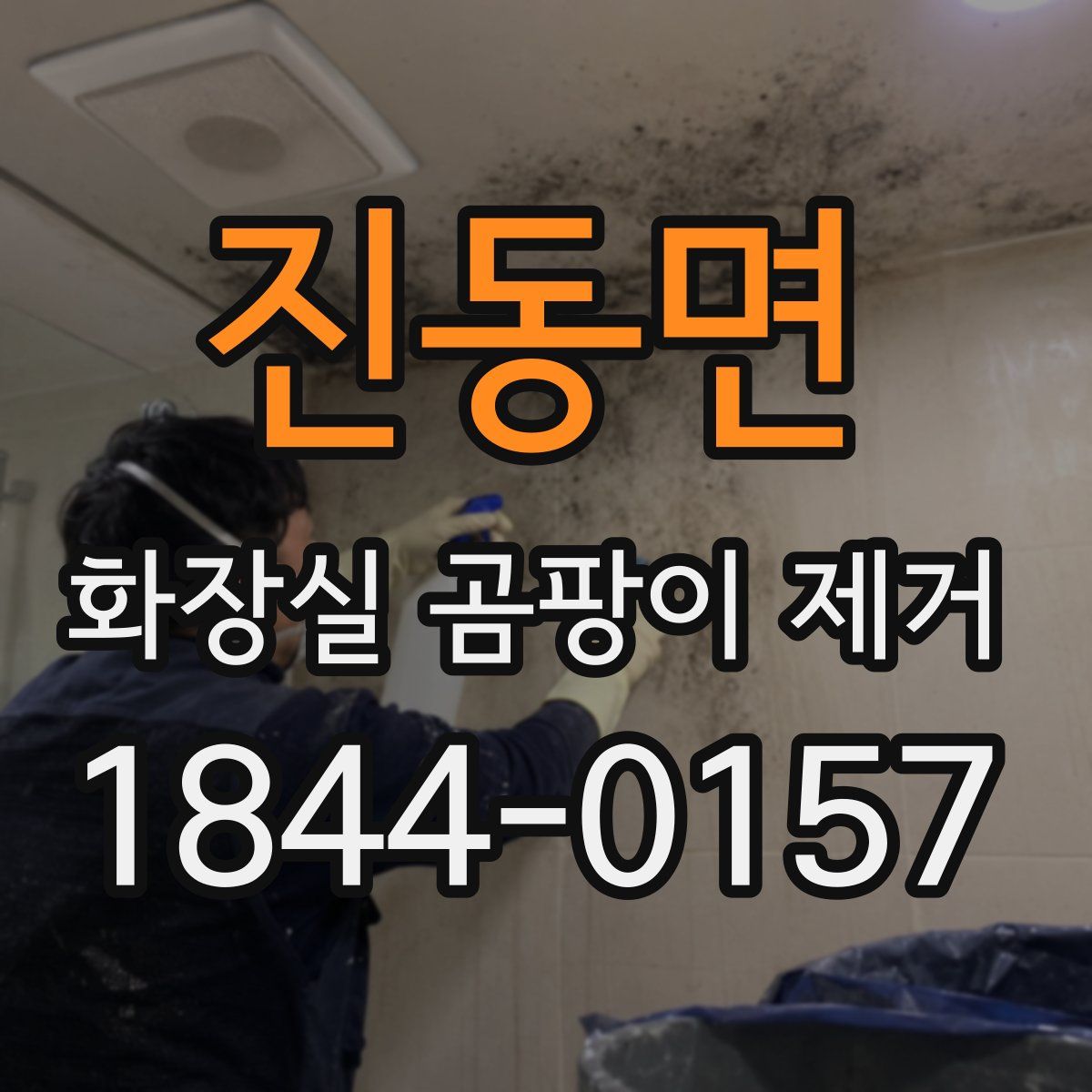 진동면 화장실 곰팡이 제거