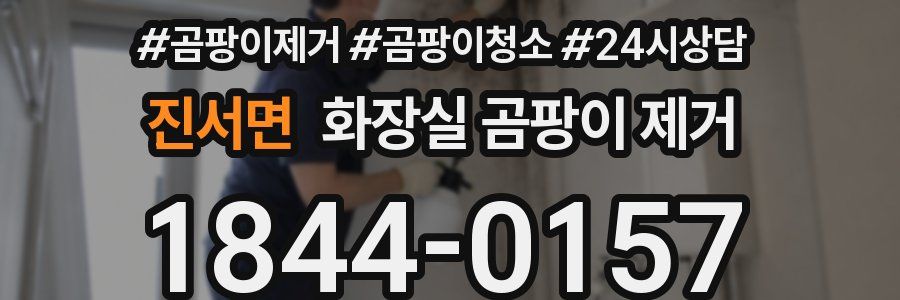진서면 화장실 곰팡이 제거